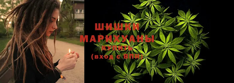 Бошки марихуана семена  как найти закладки  Кириши 